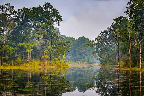 Chitwan Nemzeti Park, Nepál