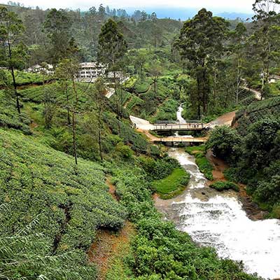 Nuwara Eliya